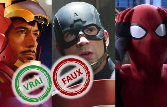 Vous rejoignez les Avengers si vous obtenez 15/15 à ce quiz vrai ou faux sur les films Marvel