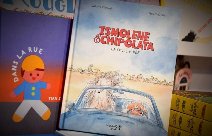 10 livres jeunesse bruxellois beaux comme des camions, à offrir à vos enfants de 3 à 15 ans