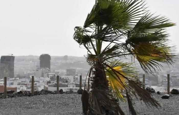 L’Aemet prévient de l’arrivée de la tempête Dorothea