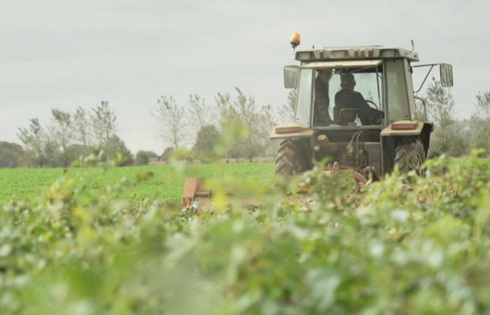 Un réseau familial marocain démantelé dans le Lot-et-Garonne