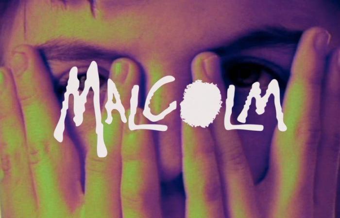 20 ans après, la série culte “Malcolm” s’apprête à faire son grand retour avec une partie de son casting original