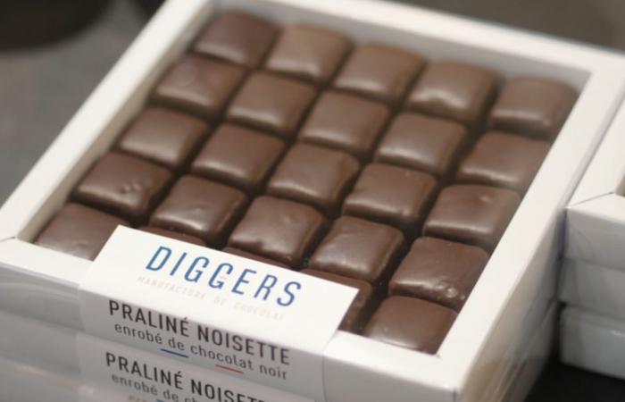 Chocolat : pourquoi les prix augmentent-ils ?