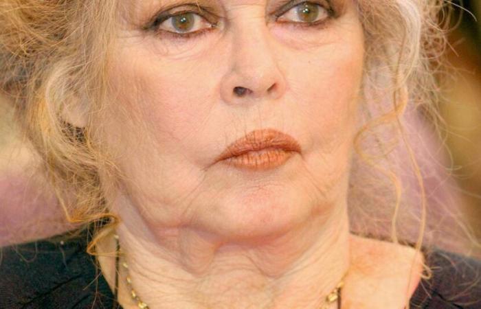 Brigitte Bardot isolée par une panne à Saint-Tropez, rien ne va plus pour ses animaux