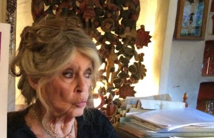 à cause d’une grosse panne, Brigitte Bardot est coupée du monde à Saint-Tropez