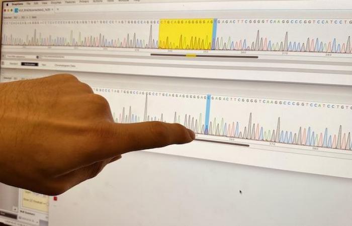 La technologie génomique améliore le traitement des maladies à Calgary