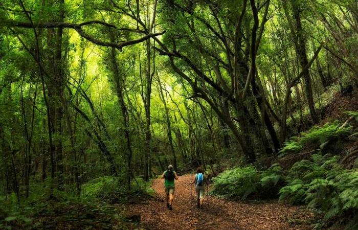 Susana Machín. « Nous avons très peur que la nouvelle stratégie touristique du Cabildo de La Palma ne soit un voyage vers nulle part »