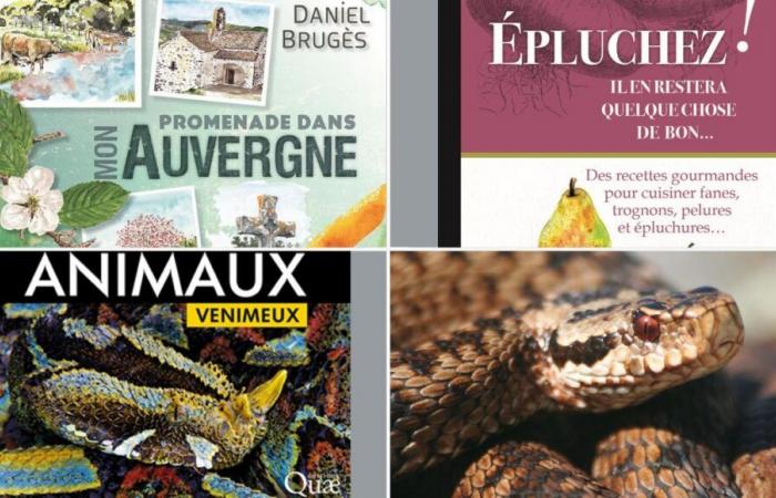 Livres spéciaux et nature sur l’Auvergne chez De Borée et sur les animaux venimeux au QUAE