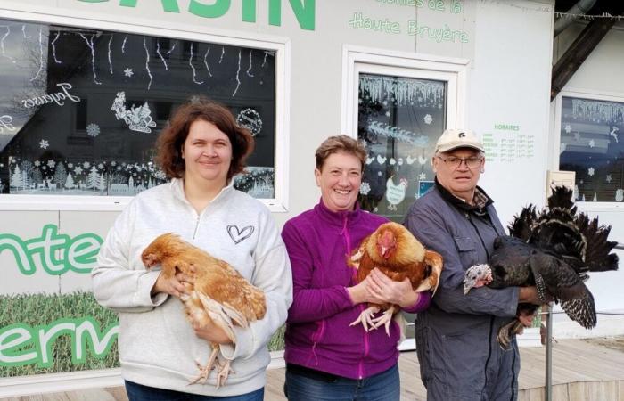 Dindes, chapons, poulets… Dans le Calvados on prépare 3 000 volailles de grande qualité pour Noël