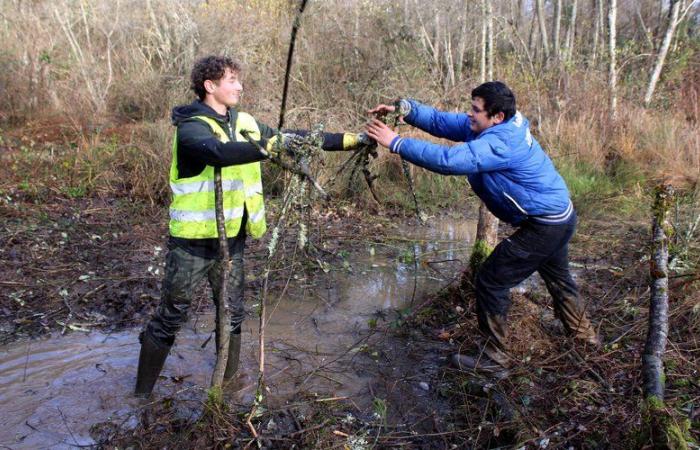 Capvern. Cette zone humide refait surface après dix ans de travaux