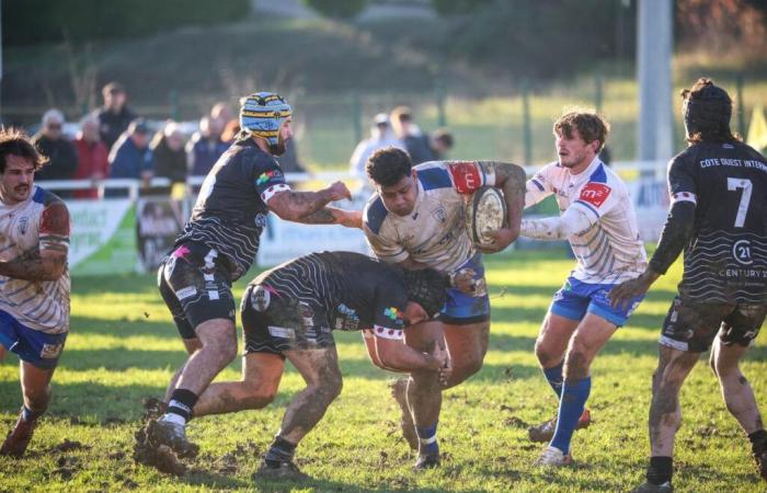 Rugby (Fédérale 1). Battu par Gujan-Mestras, Layrac n’arrive plus à gagner