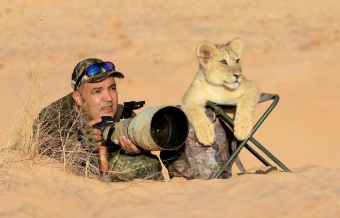 Djamal Hadj Aissa capture la photo sauvage de l’année 2024