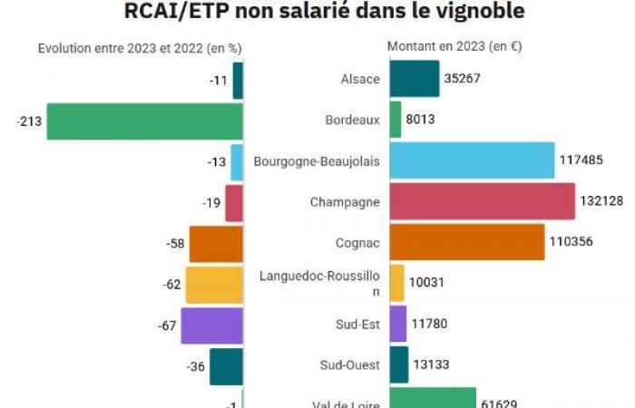 La rentabilité du vignoble s’est effondrée de 210 % à Bordeaux, 67 % dans le Sud-Est, 62 % dans le Languedoc, 60 % à Cognac…