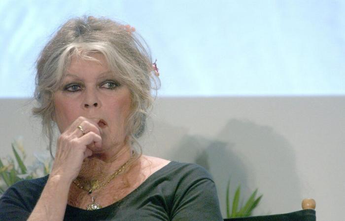 Brigitte Bardot en difficulté à Saint-Tropez, ne mâche pas ses mots et dénonce la situation