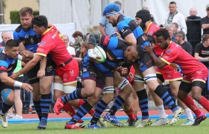 Rugby – Beau succès pour Sarlat avant les vacances en Fédérale 1. Belvès gagne aussi.