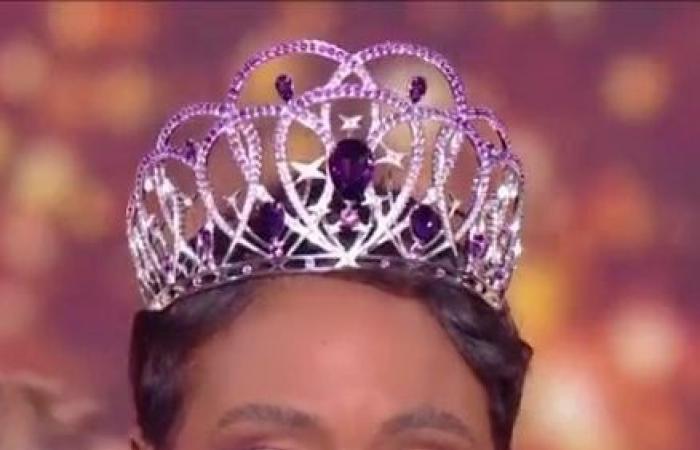 quel score pour les élections Miss France 2025 sur TF1 ?