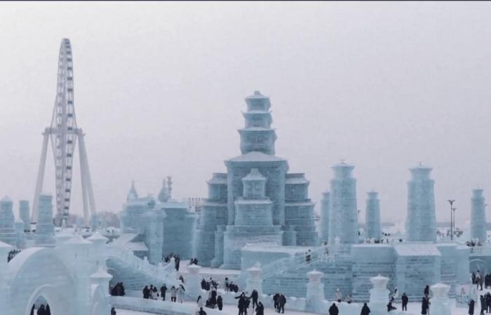 Harbin, la ville de glace prend vie