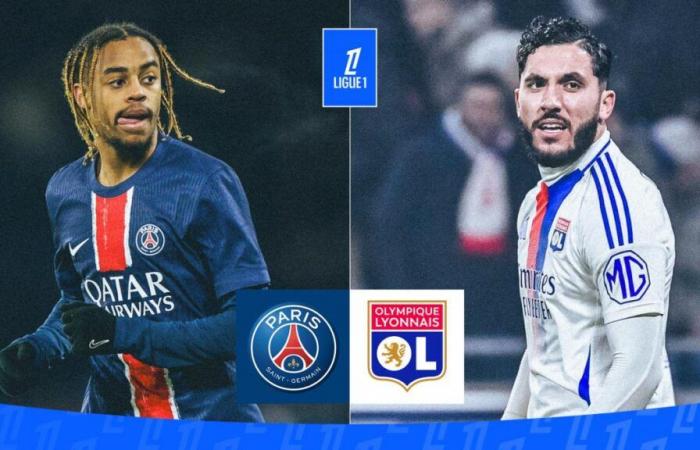 OL : compositions probables