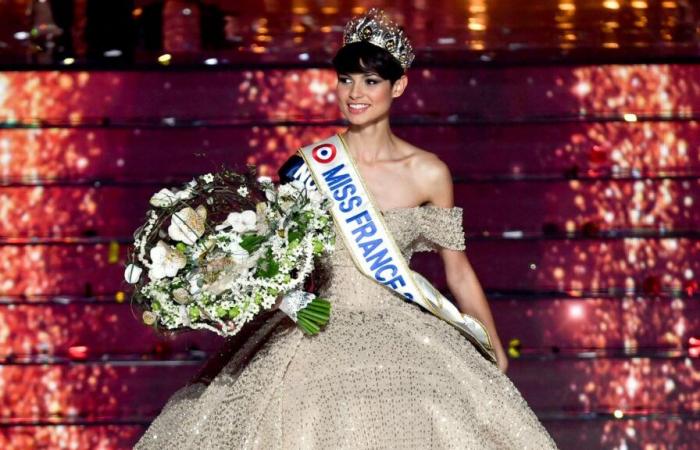 Miss France 2024, Ève Gilles, apprend en direct qu’elle participera au DALS sur TF1