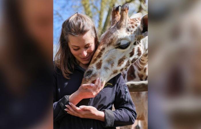 une aide-soignante de Pairi Daiza parle de son quotidien hors du commun