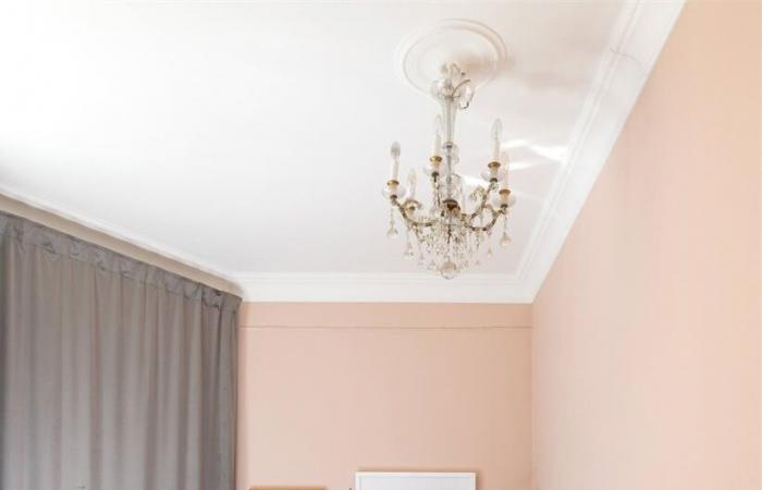 Un appartement de 53m2 à la décoration contrastée entre noir et rose