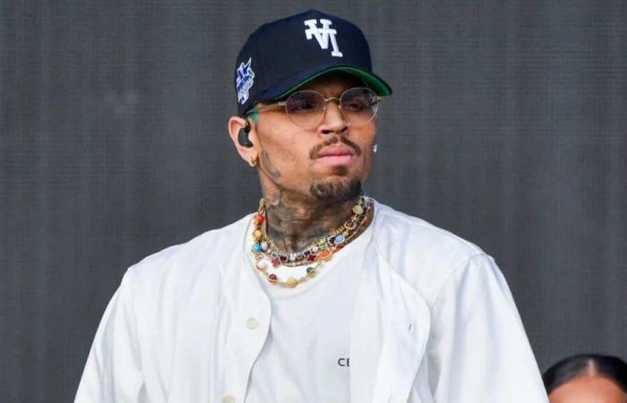 Chris Brown visé par une ONG sud-africaine