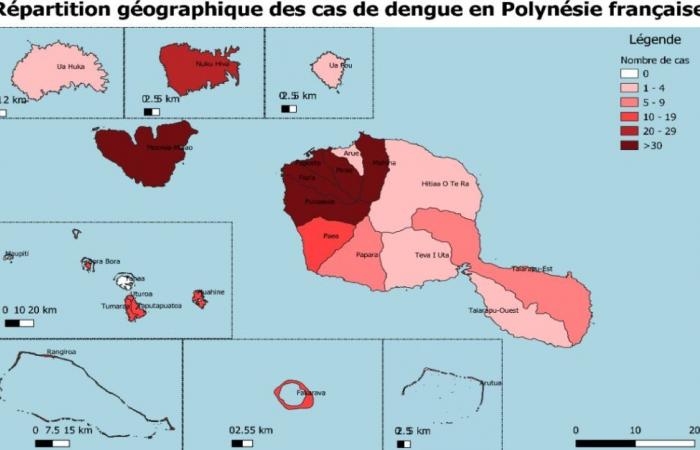 L’épidémie de dengue progresse au Fenua • TNTV Tahiti Nui Television