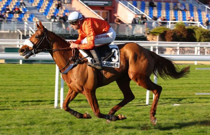 Monday in Cagnes – Prix de Cambridge: Atrani assumes its status