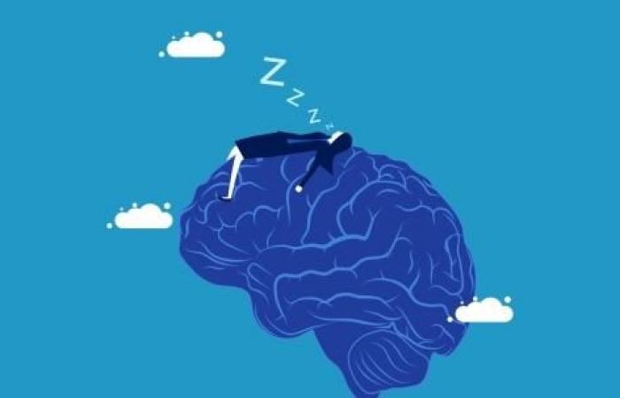 C’est ainsi que le sommeil aide à la formation de la mémoire