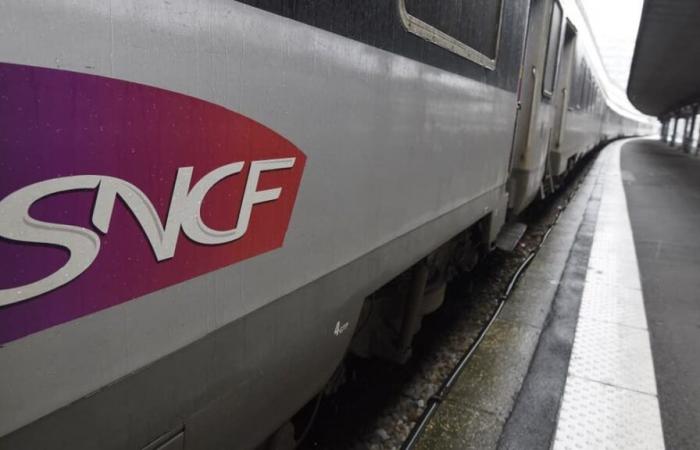 La SNCF lance une ligne Paris-Berlin une fois par jour, en 8 heures et pour un minimum de 120 euros