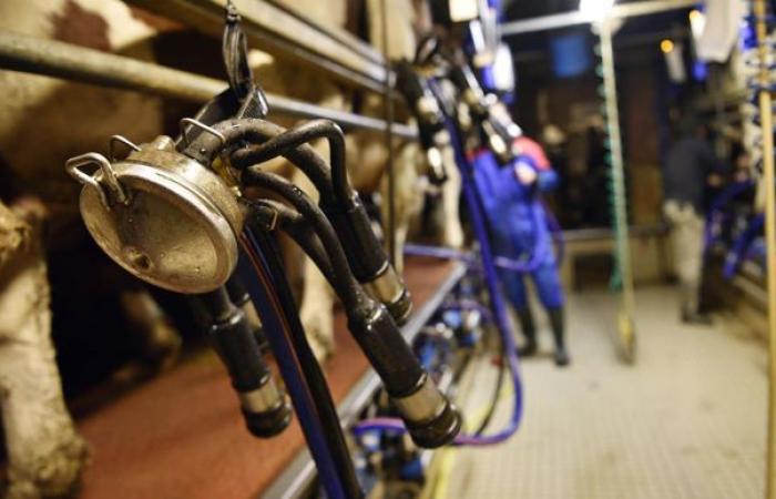 Des prix minimums pourraient améliorer la rémunération des agriculteurs