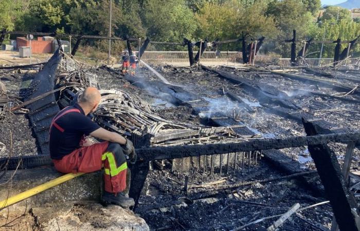 Les trois jeunes qui ont incendié l’espace d’Auzon, à Carpentras, « indemniseront les victimes pour le reste de leur vie »