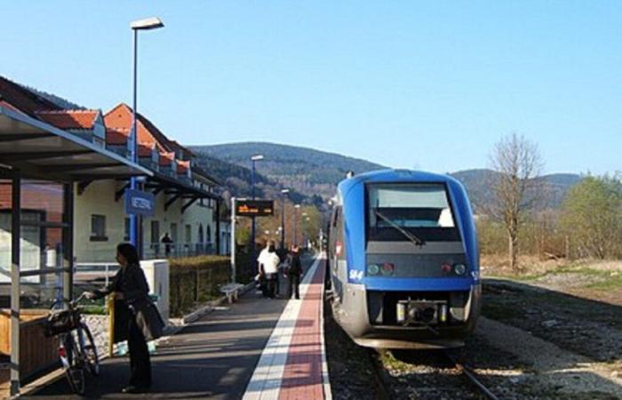 La SNCF augmente le nombre de trajets par jour sur cette ligne du Haut-Rhin