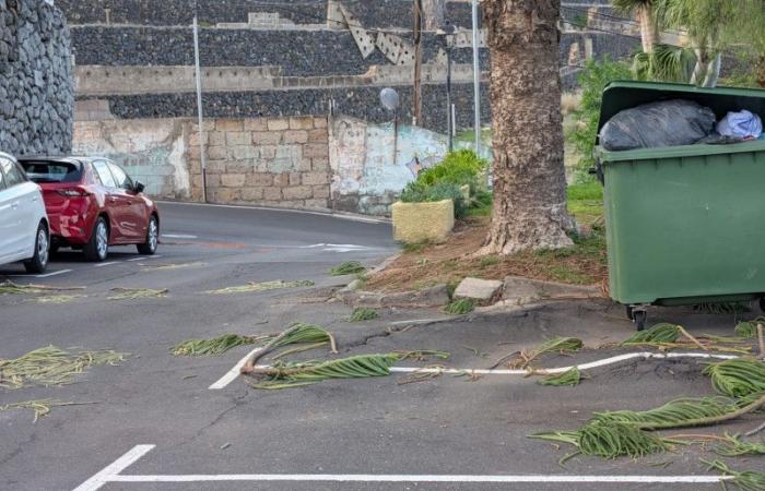 La tempête à Tenerife laisse des nuits blanches et des destructions dans le nord de l’île