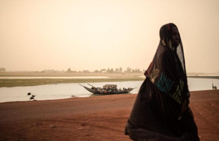 Au Mali, au moins sept villageois tués dans une « attaque terroriste »