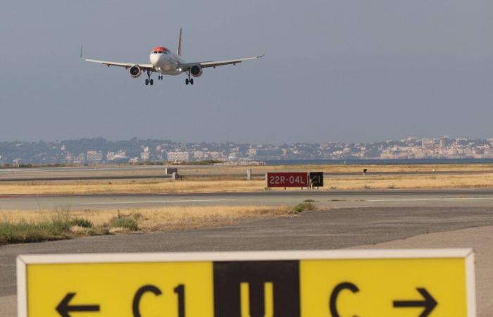 Un avion heurte des oiseaux au décollage de l’aéroport de Nice, piste temporairement fermée et deux vols déroutés