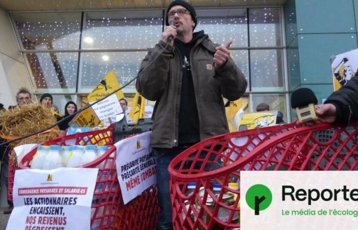 Contre l’agro-industrie, une opération « caddies gratuits » dans un hypermarché Auchan