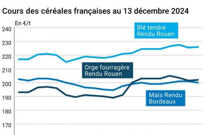 Céréales – L’augmentation de la récolte chinoise fait baisser les prix mondiaux des céréales