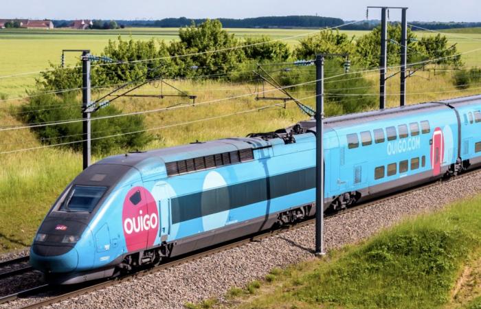 les voyageurs obligés de prendre le TGV