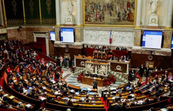 l’Assemblée nationale adopte à l’unanimité le projet de loi spéciale pour pallier l’absence de budget 2025