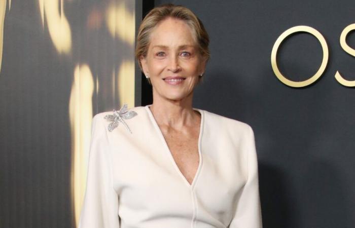 Sharon Stone (66 ans) au summum de l’élégance, elle éblouit dans un costume à plumes au décolleté plongeant