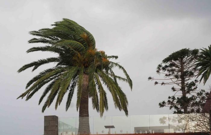 Le gouvernement désactive l’alerte maximale aux îles Canaries, mais maintient des pré-alertes dans deux îles