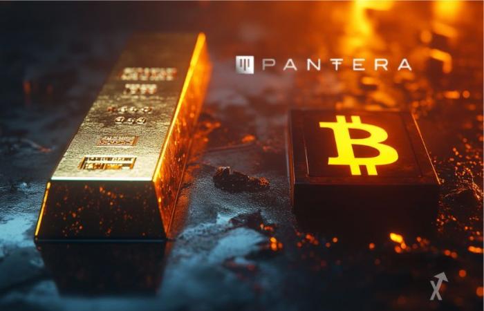 Le fondateur de Pantera dit que le Bitcoin est meilleur que l’or