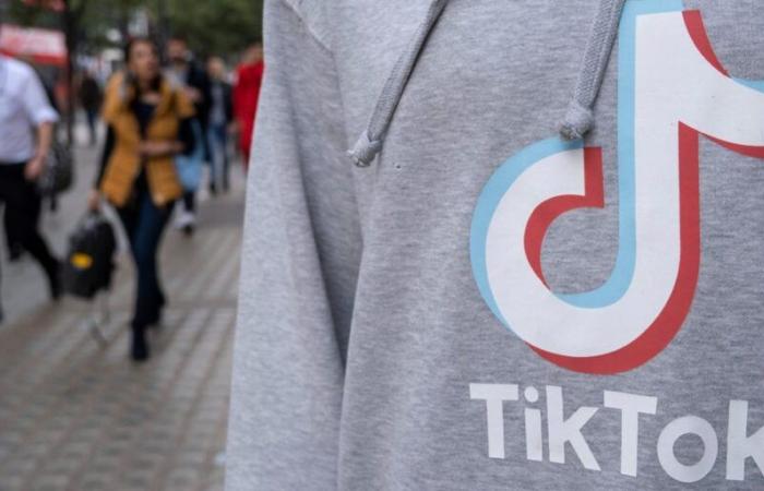 TikTok dépasse Shein et Sephora parmi les acheteurs en ligne américains, selon un rapport