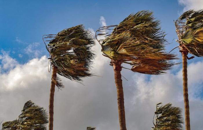 La tempête Dorothea force l’annulation des cours à El Hierro, Tenerife, La Gomera et dans les zones de La Palma