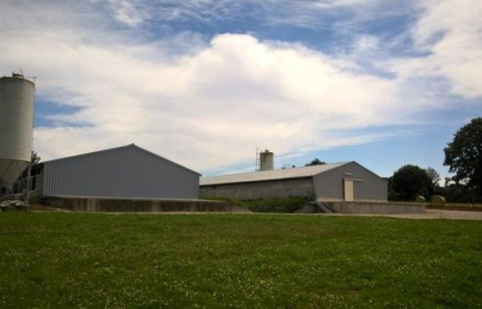 Grimaud Frères densifie sa présence sur le territoire