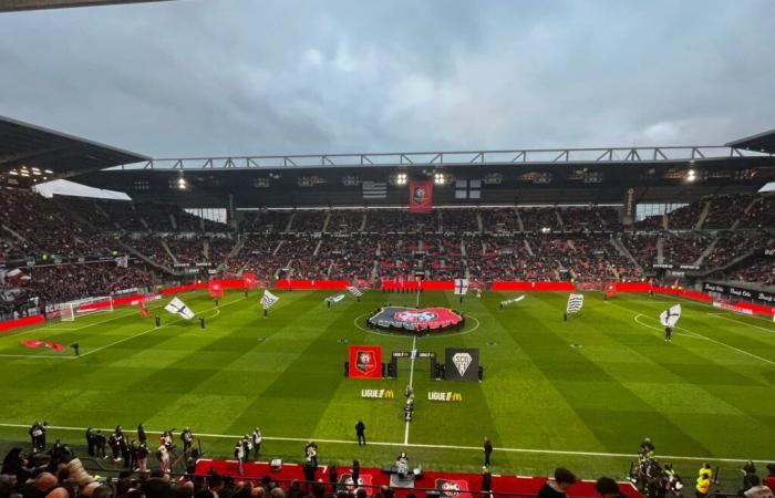 Stade Rennais – Angers : Vite, la suite !