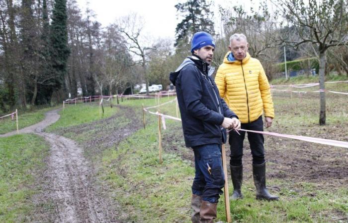 Lannion. Six jours avant le cyclo-cross, le circuit vandalisé dans le bois de Stanco