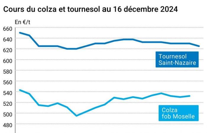 Oléagineux – Les cours du colza baissent sur Euronext avec la mise en place d’un éclusage temporaire sur la Moselle