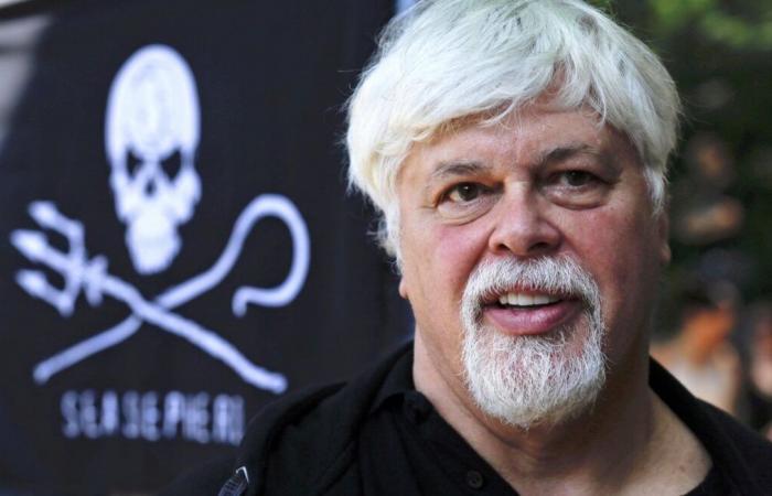 Libéré de sa prison danoise, Paul Watson est-il tiré d’affaire ?