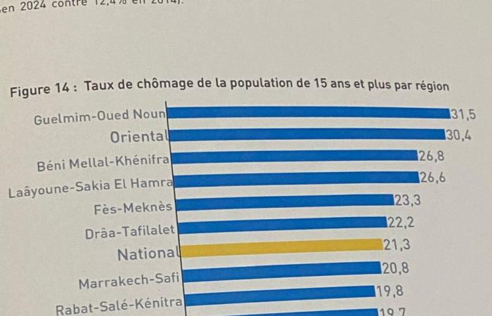 Recensement – ​​Le taux de chômage au Maroc s’élèvera à 21,3% en 2024, contre 16,2% il y a 10 ans (Chakib Benmoussa) – Article19.ma